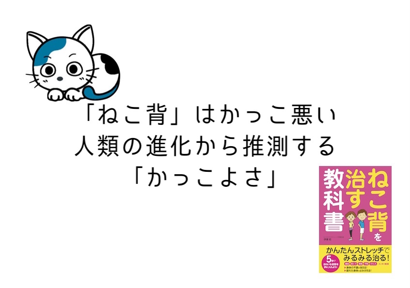 猫背講座】「ねこ背」はかっこ悪い／人類の進化から推測する 